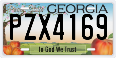 GA license plate PZX4169