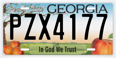 GA license plate PZX4177