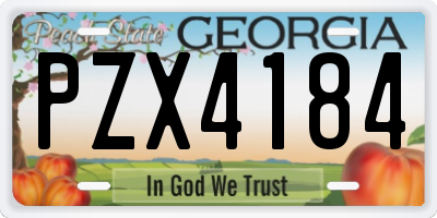 GA license plate PZX4184