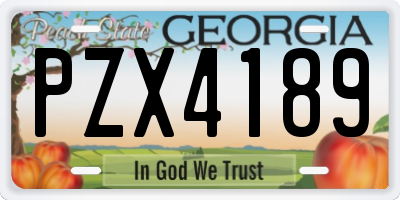 GA license plate PZX4189