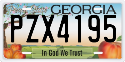 GA license plate PZX4195
