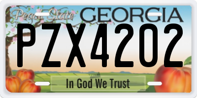 GA license plate PZX4202