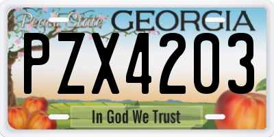 GA license plate PZX4203