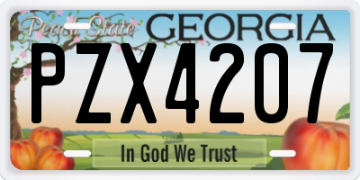 GA license plate PZX4207