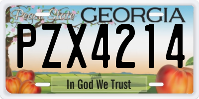 GA license plate PZX4214