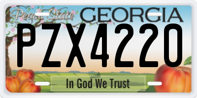 GA license plate PZX4220