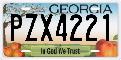 GA license plate PZX4221