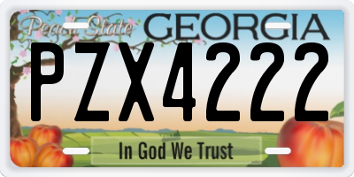 GA license plate PZX4222