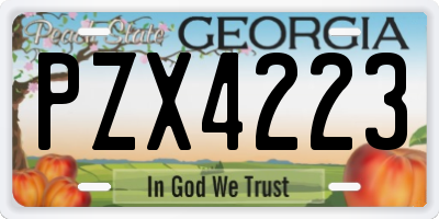 GA license plate PZX4223