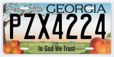 GA license plate PZX4224