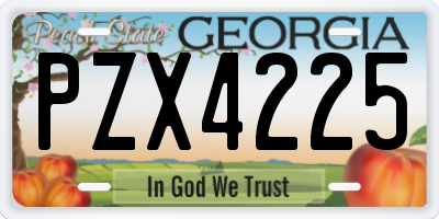 GA license plate PZX4225