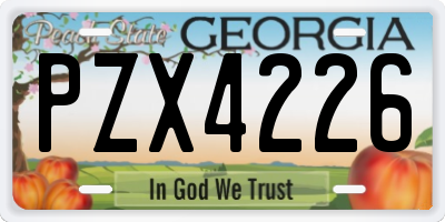 GA license plate PZX4226