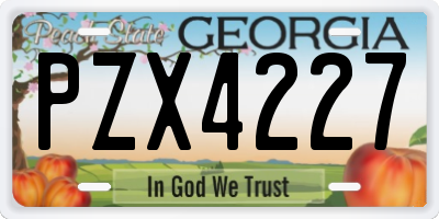 GA license plate PZX4227