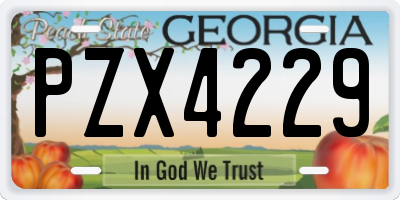 GA license plate PZX4229