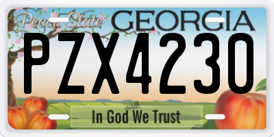 GA license plate PZX4230