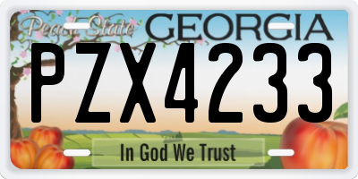 GA license plate PZX4233