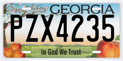 GA license plate PZX4235