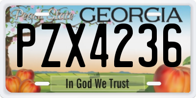 GA license plate PZX4236