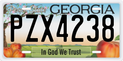 GA license plate PZX4238