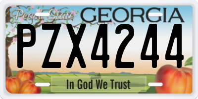 GA license plate PZX4244