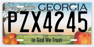 GA license plate PZX4245