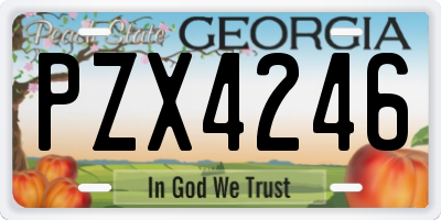 GA license plate PZX4246