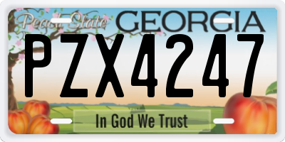 GA license plate PZX4247