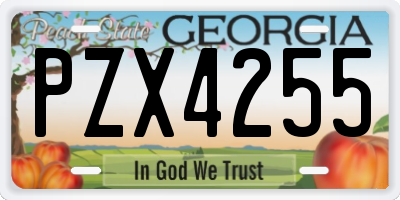 GA license plate PZX4255