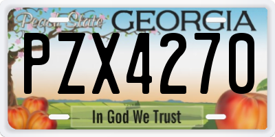 GA license plate PZX4270