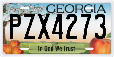 GA license plate PZX4273