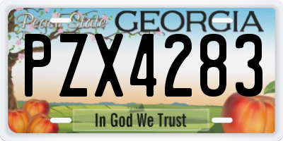 GA license plate PZX4283