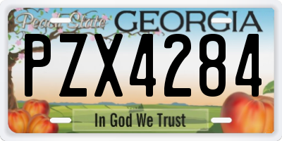 GA license plate PZX4284