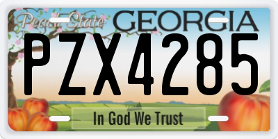 GA license plate PZX4285