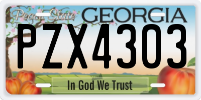 GA license plate PZX4303
