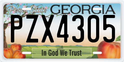 GA license plate PZX4305