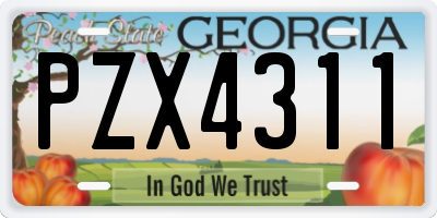 GA license plate PZX4311