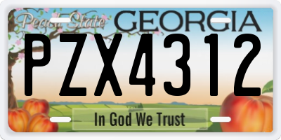 GA license plate PZX4312