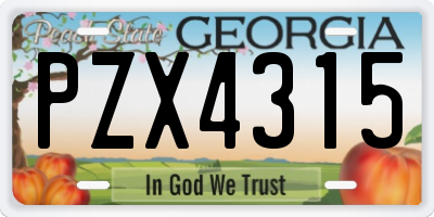 GA license plate PZX4315