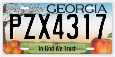 GA license plate PZX4317