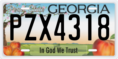 GA license plate PZX4318
