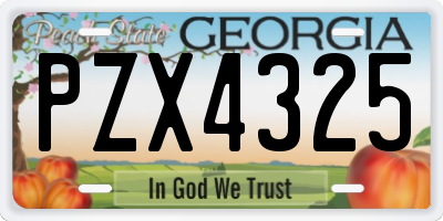 GA license plate PZX4325