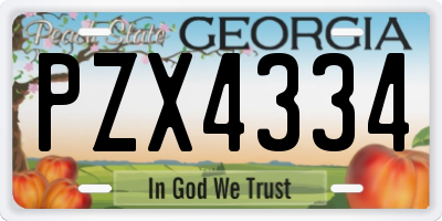 GA license plate PZX4334