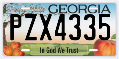 GA license plate PZX4335