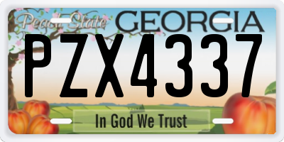 GA license plate PZX4337