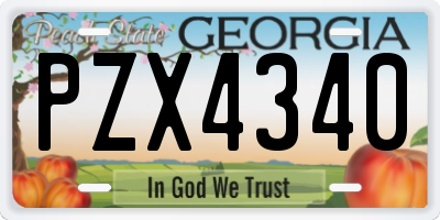 GA license plate PZX4340