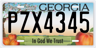 GA license plate PZX4345