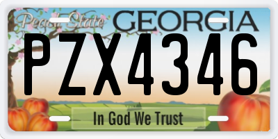 GA license plate PZX4346