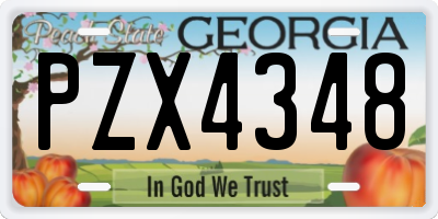 GA license plate PZX4348