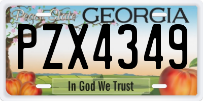GA license plate PZX4349