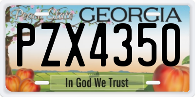 GA license plate PZX4350